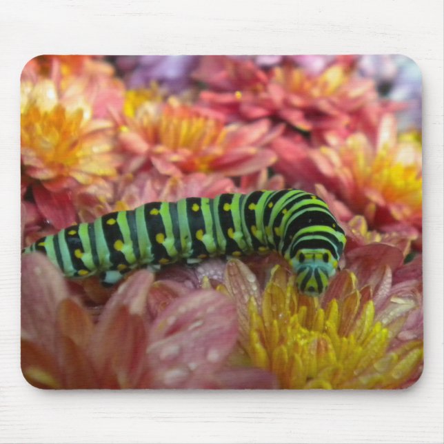 Mousepad Lagarta Fechar o Bocal (Frente)