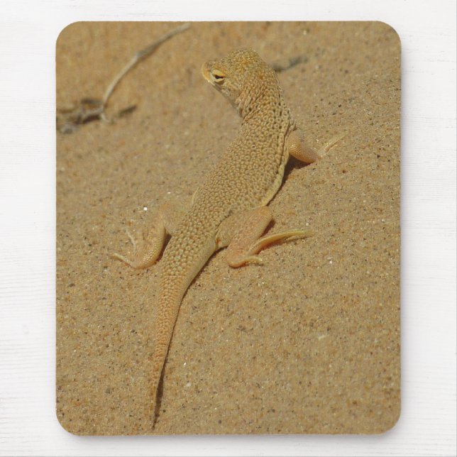 Mousepad Lagarto-de-dedos-franeados-do-Mojave (Frente)
