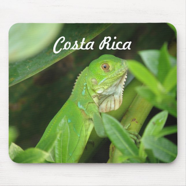 Mousepad Lagarto de Rican da costela (Frente)