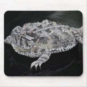 Mousepad Lagarto Horned de Texas - réptil do estado de