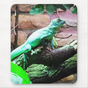 Mousepad Lagarto verde