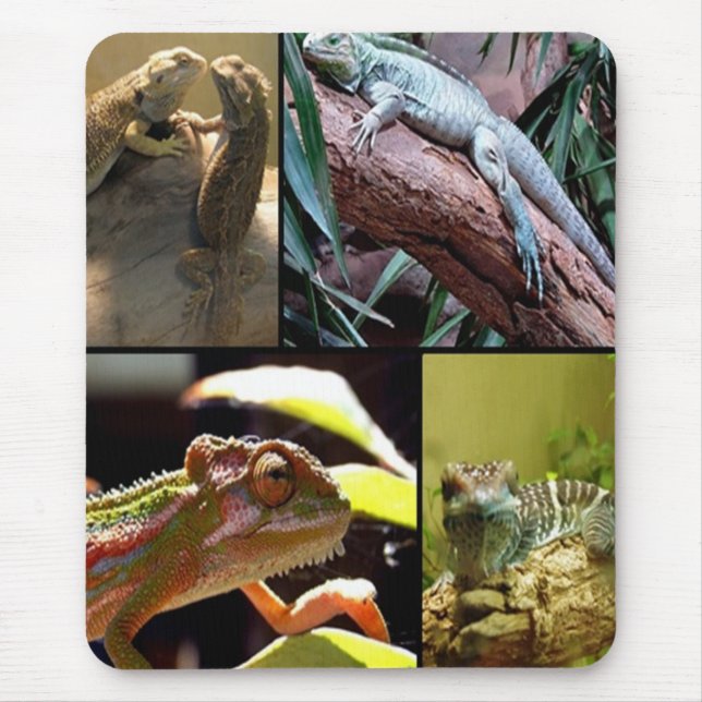 Mousepad Lagartos de lagartas e camelões (Frente)