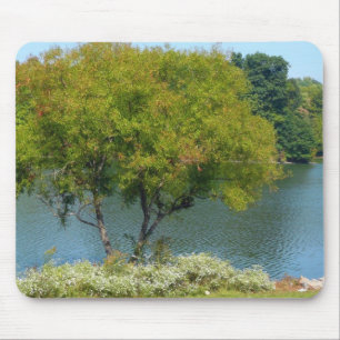 Mousepad Lago Centenário em Ellicott, Maryland