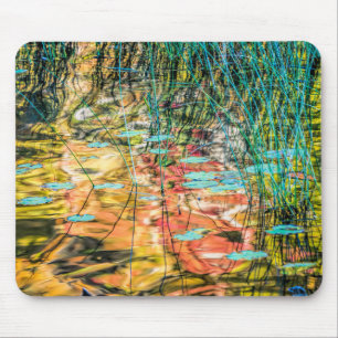 Mousepad Lago Council na Floresta Nacional de Hiawatha, Mic