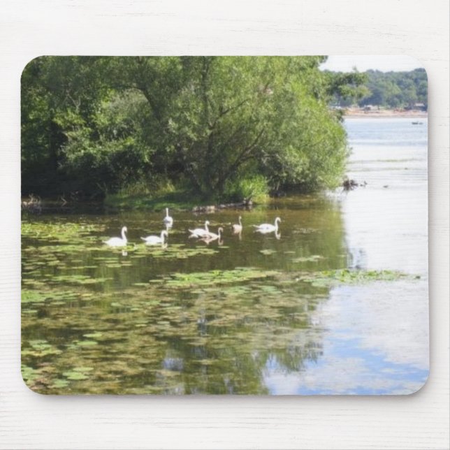 Mousepad Lago swan (Frente)