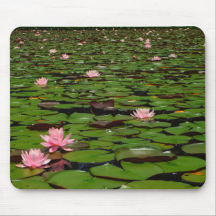 Mousepad Lagoa de flor de lírio, de água doce, rosa