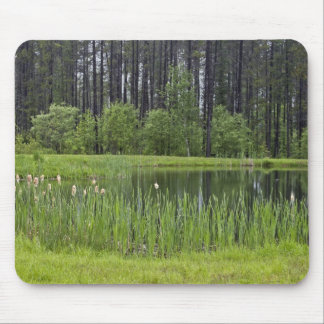 Mousepad Lagoa de pesca