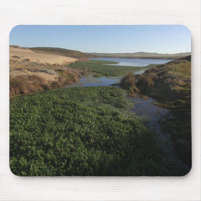 Mousepad Lagoa I de Abbotts na costa nacional de Point Reye (Frente)