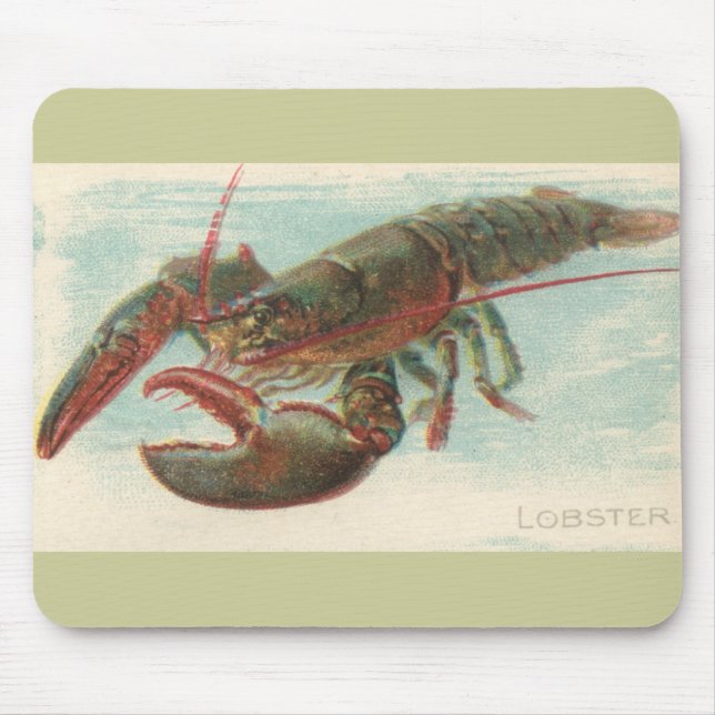 Mousepad Lagosta (Frente)