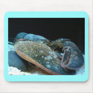 Mousepad lagosta azul