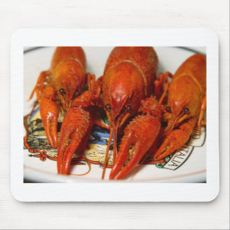 Mousepad Lagostins