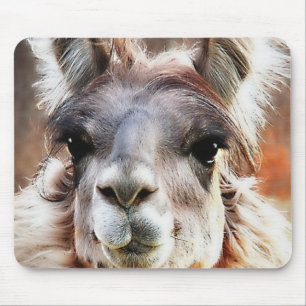 Mousepad Lama