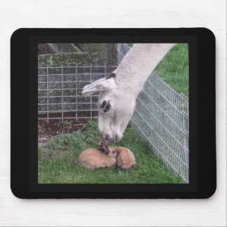 Mousepad Lama Llove e coelho
