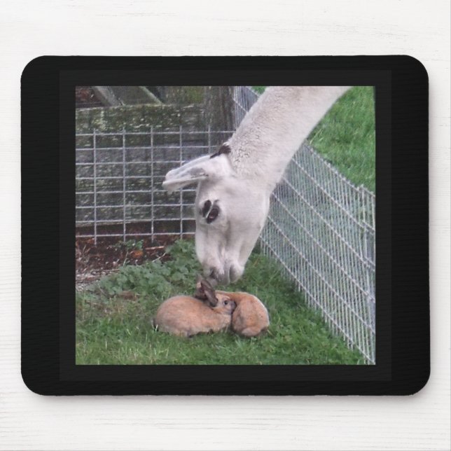 Mousepad Lama Llove e coelho (Frente)