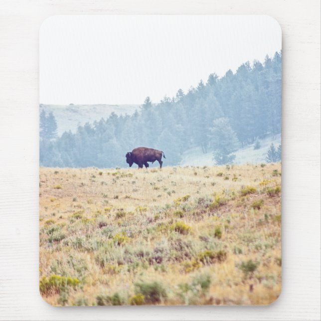 Mousepad Lamar (Frente)