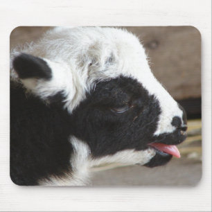 Mousepad Lamb recém-nascido