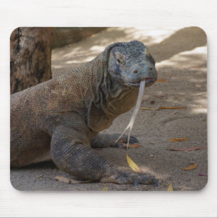 Mousepad Lambedura do dragão de Komodo