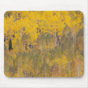 Mousepad Lambert Hollow, árvores de álamo