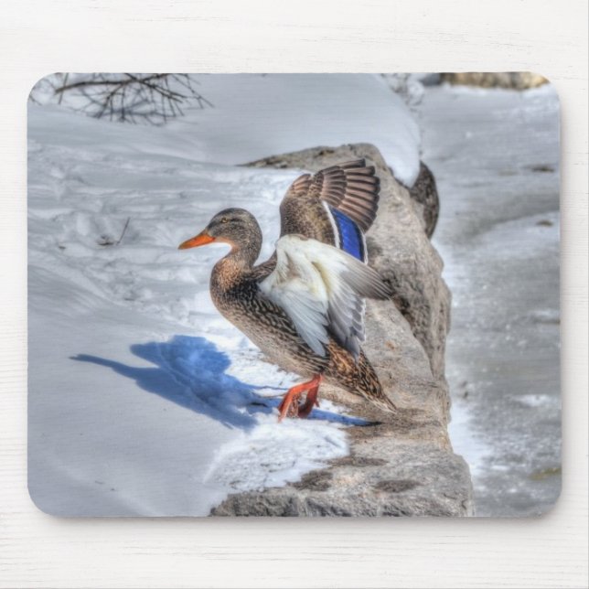 Mousepad Landing Mallard Duck Birdlover Wildlife Foto (Frente)