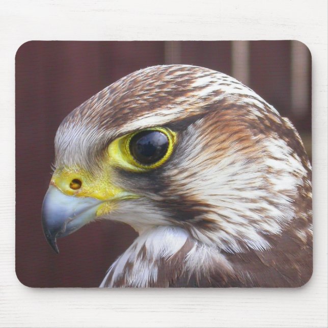 Mousepad Lanner Falcon (Frente)