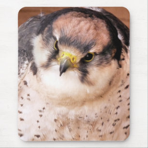 MOUSEPAD LANNER FALCON