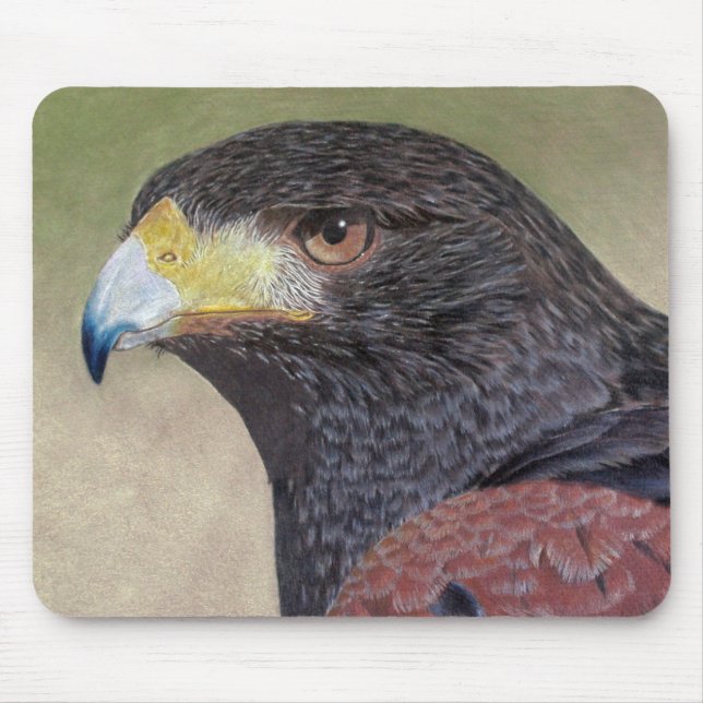 Mousepad lápis de cor Harris Hawk (Frente)