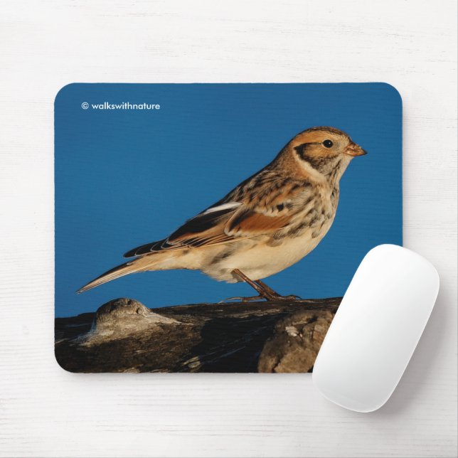 Mousepad Lapland Longspur Bunting Songbird em um diário ilu (Com mouse)