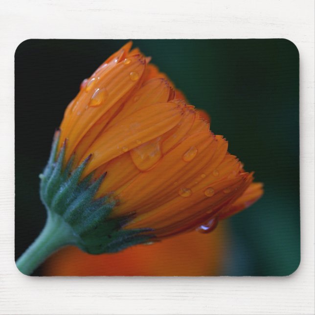 Mousepad Laranja (Frente)