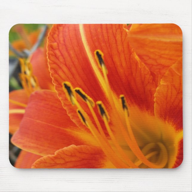 Mousepad laranja brilhante (Frente)