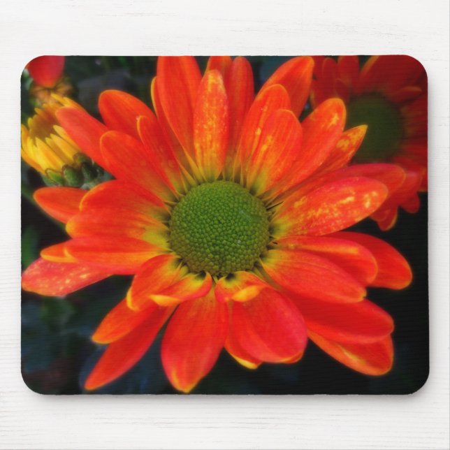 Mousepad Laranja Brilhante com o Pad do Mouse Raindrops (Frente)