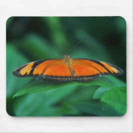 Mousepad Laranja Brilhante e Borboleta Negra em Folha