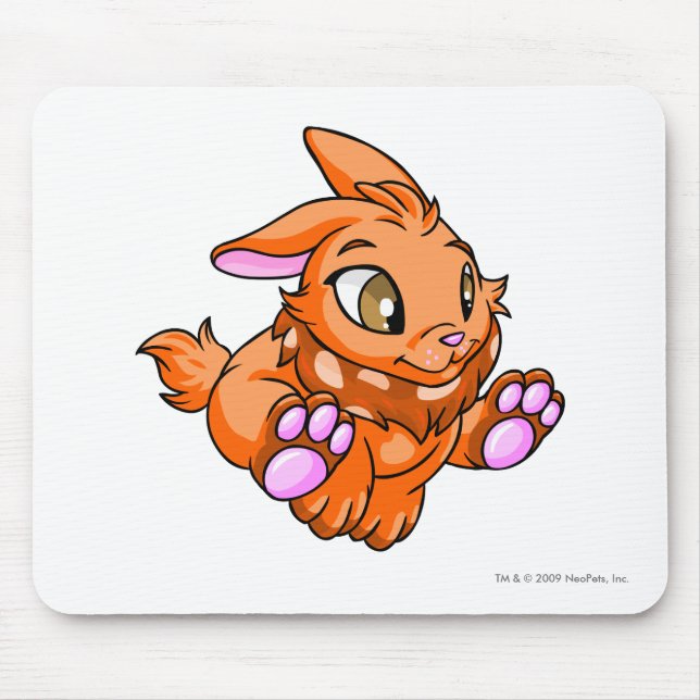 Mousepad Laranja de Cybunny (Frente)