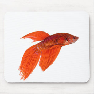 Mousepad Laranja Japonês Lutando Contra Peixe Betta Siamê