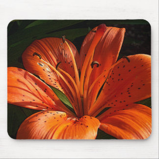 Mousepad Laranja profunda