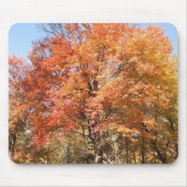 Mousepad Laranjeiras