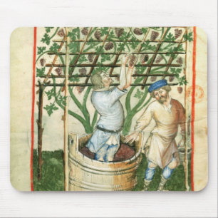 Mousepad Lat de Nouv Acq que recolhe e que pressiona uvas