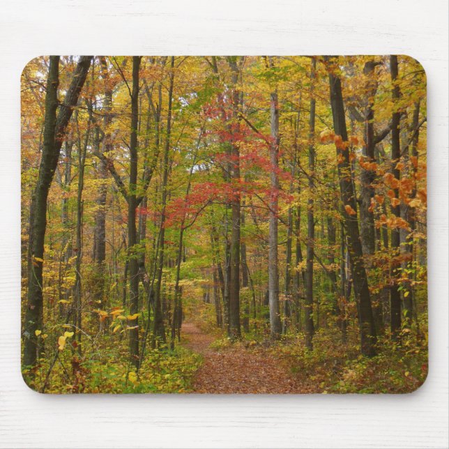 Mousepad Laurel Hill Trail em Queda (Frente)