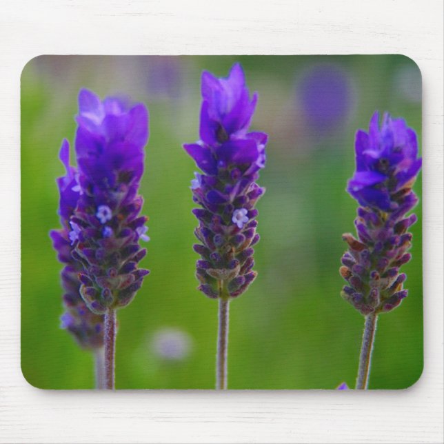 Mousepad lavanda (Frente)