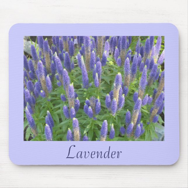 Mousepad Lavanda adorável (Frente)