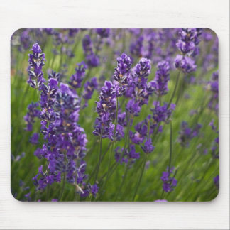 Mousepad Lavendar | Lavendel