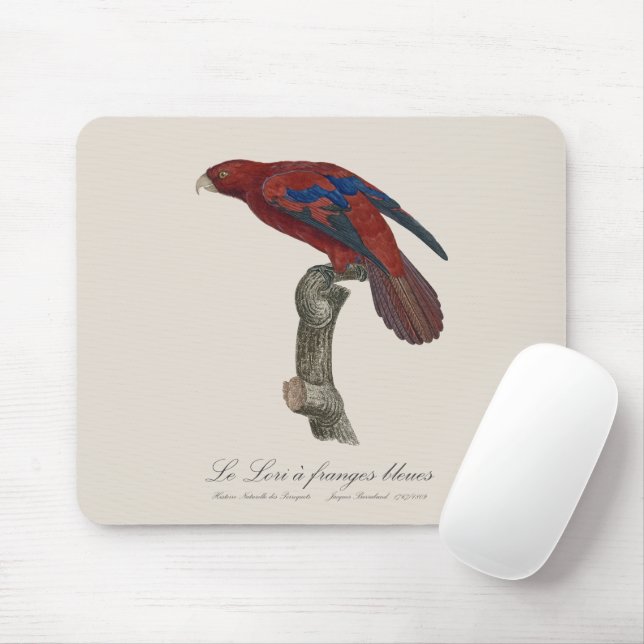 Mousepad Le Lori a franges bleues (Com mouse)