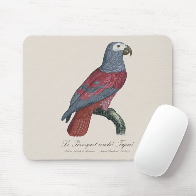 Mousepad Le Perroquet cendre Tapire (Com mouse)
