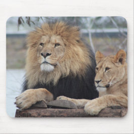 Mousepad Leão
