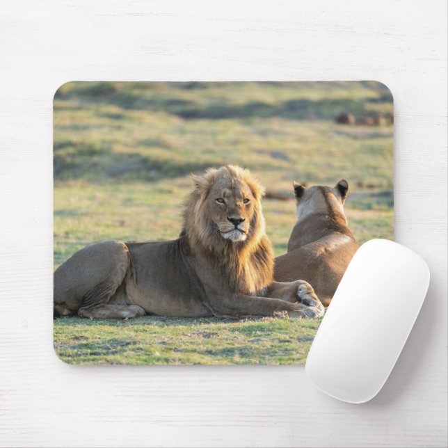 Mousepad Leão (Com mouse)
