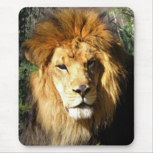 Mousepad Leão