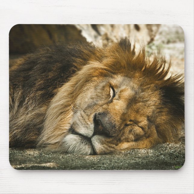 Mousepad leão (Frente)