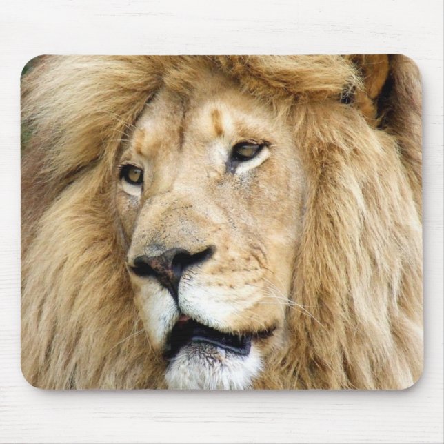 Mousepad leão (Frente)