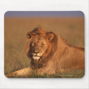 Mousepad Leão