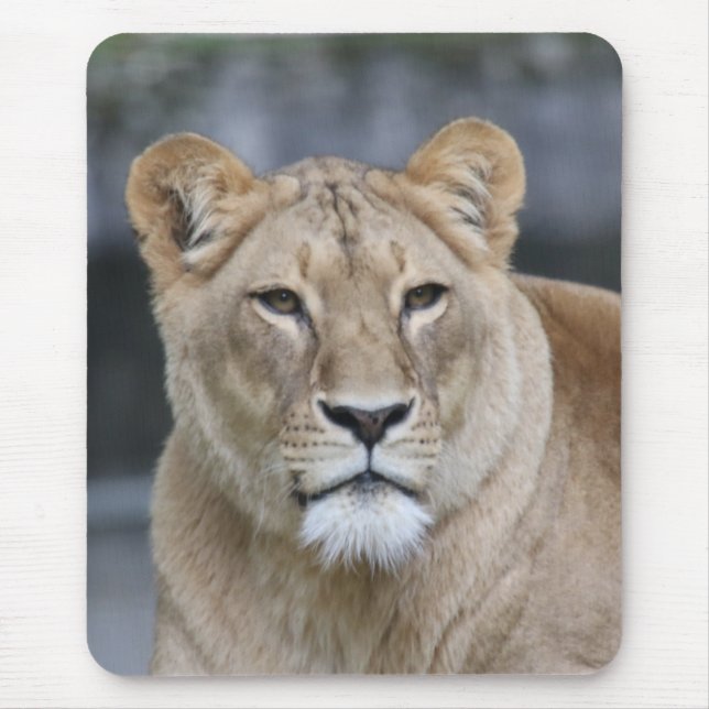 Mousepad Leão 004 (Frente)