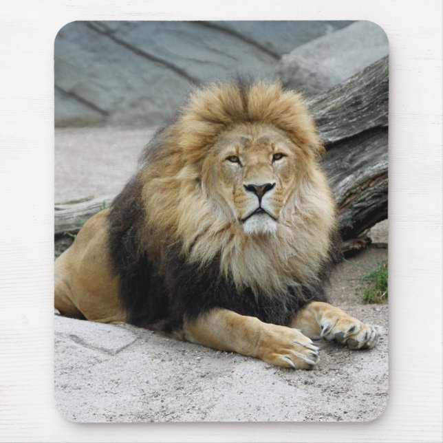 Mousepad Leão 020 (Frente)